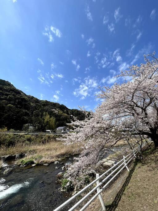 御浜岬の至福を一身に味わう 一軒家貸切宿で贅沢なバーベキューを楽しみながら夕陽に染まる戸田湾の美しさを満喫 Numazu Buitenkant foto