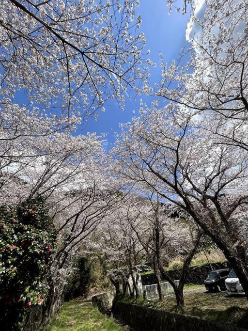 御浜岬の至福を一身に味わう 一軒家貸切宿で贅沢なバーベキューを楽しみながら夕陽に染まる戸田湾の美しさを満喫 Numazu Buitenkant foto